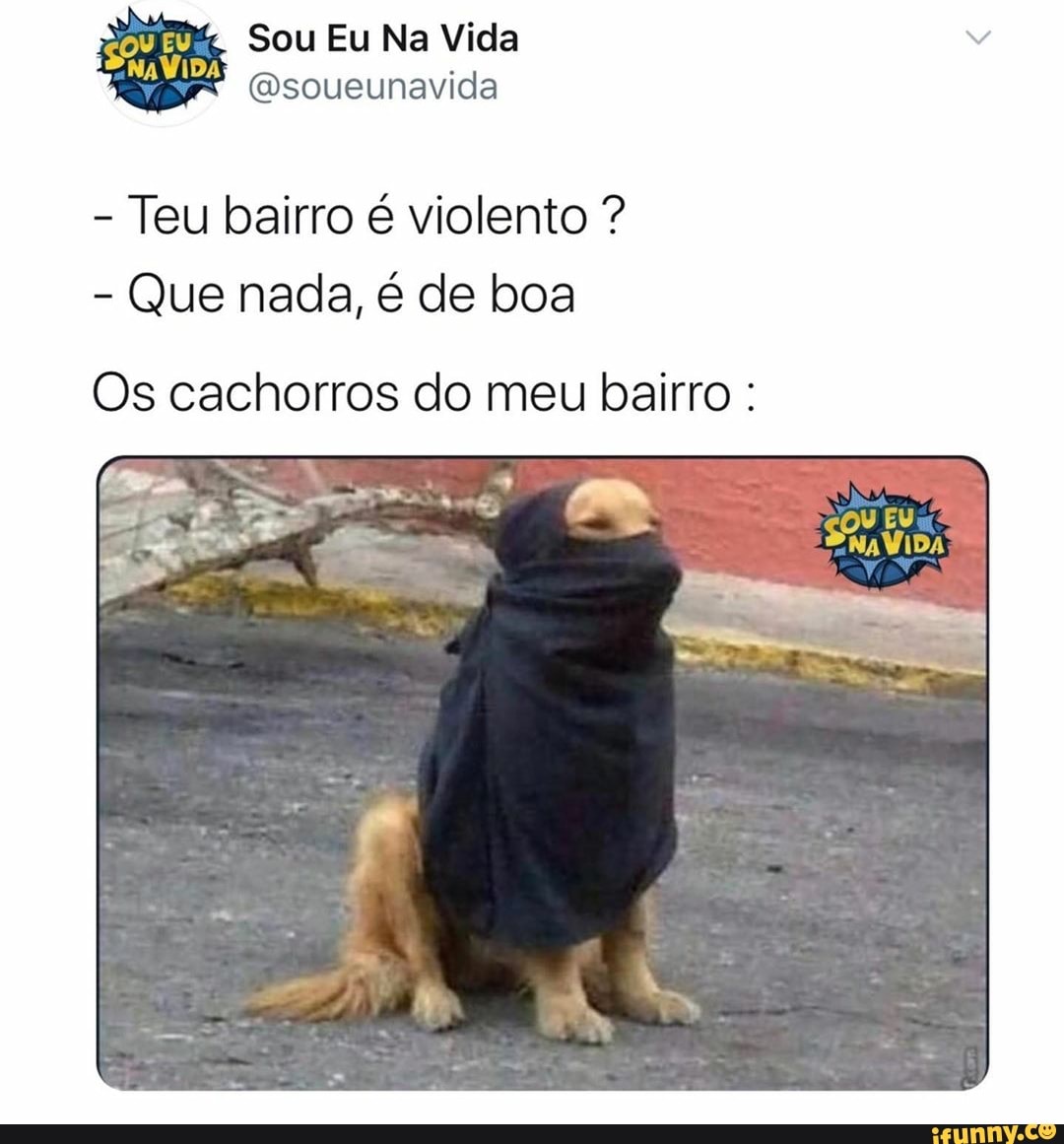 EIA
@soueunavida
Teu bairro é violento Que nada, é de boa
Os cachorros do meu bairro