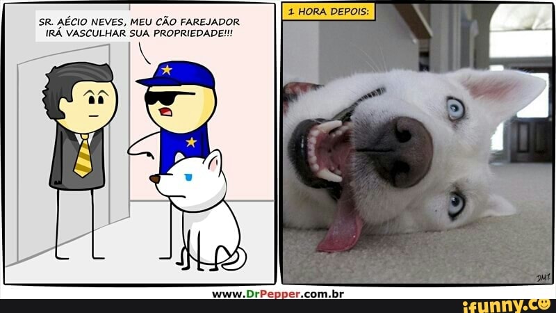 IRÁ VASCULHAR SUA PROPRIEDADE!!!