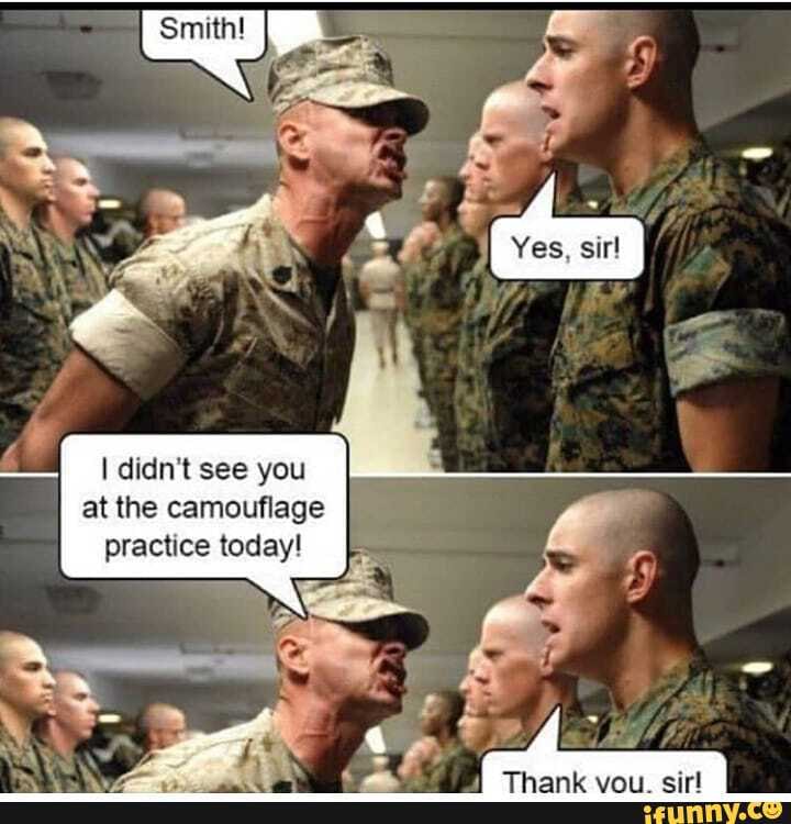I didn't see you at the camouflage practice today!