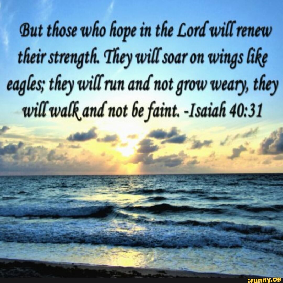 Ut those who hope in the Lord will renew their strength. They will soar ...