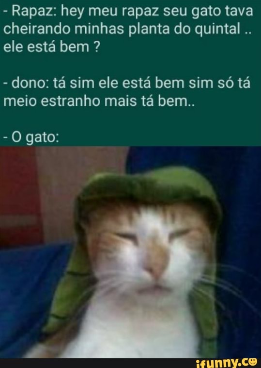 - Rapaz: hey meu rapaz seu gato tava cheirando minhas planta do quintal ele está bem ?
- dono: tá sim ele está bem sim só tá meio estranho mais tá bem..
- O gato: