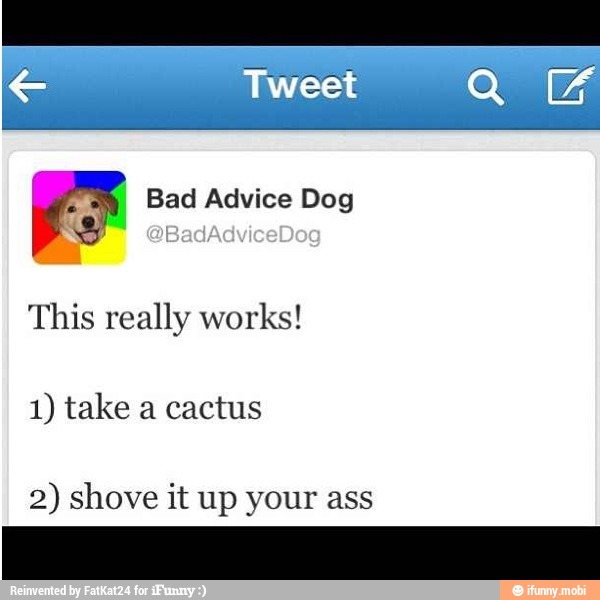 LE Bad Advice Dog
This really works!
1) take a cactus
2) shove it up your ass