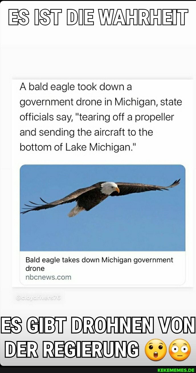 [Sv Die WARE
A bald eagle took down a government drone in Michigan, state officials say, "tearing off a propeller and sending the aircraft to the bottom of Lake Michigan."
Bald eagle takes down Michigan government drone
ES @ET DROMNEN WON REGIERUNG