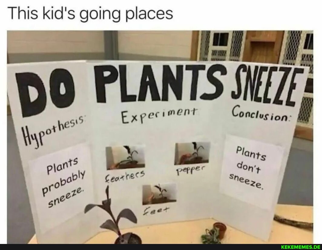 This kid's going places po PLANTS Concty 515 Experiment Plants ort ec don:
