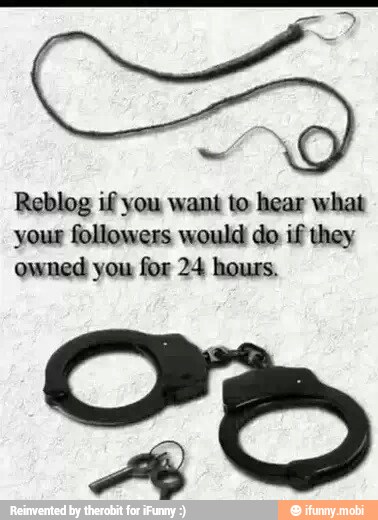 Reblog if you want to hear what
your followers would do if they
owned you for 24 hours,
A