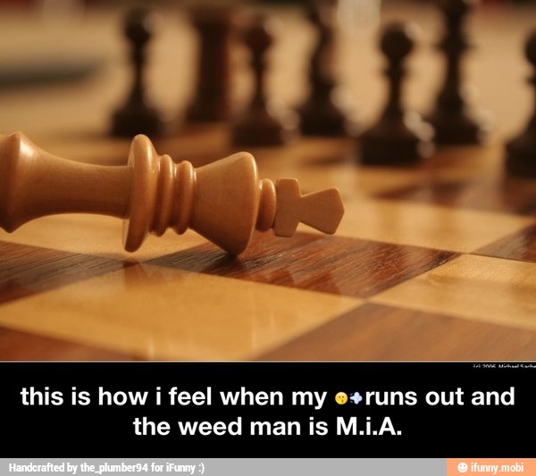 this is how i feel when my e+runs out and
the weed man is M.i.A. - this is how i feel when my ๐๐จruns out and the weed man is M.i.A.
