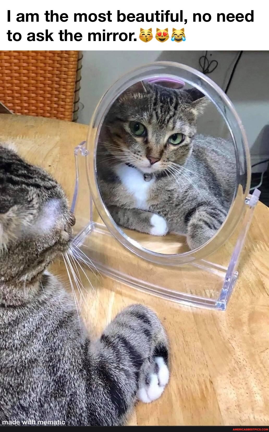 am the most beautiful, no need
to ask the mirror.
