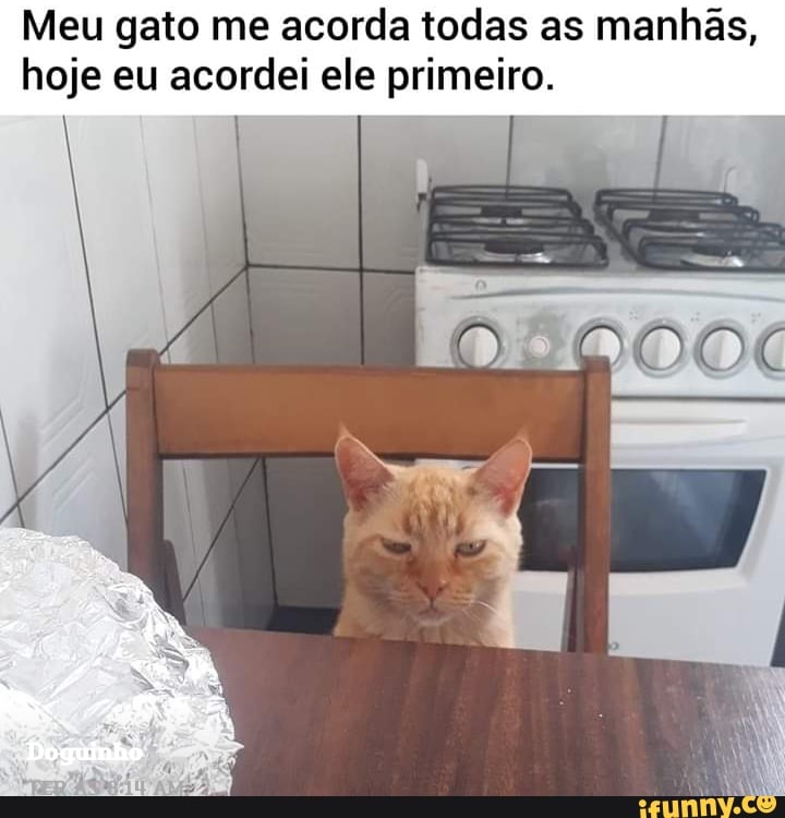 Meu gato me acorda todas as manhas,
hoje eu acordei ele primeiro.