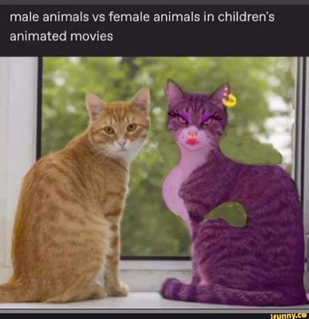 male animals vs female animals in children's animated movies