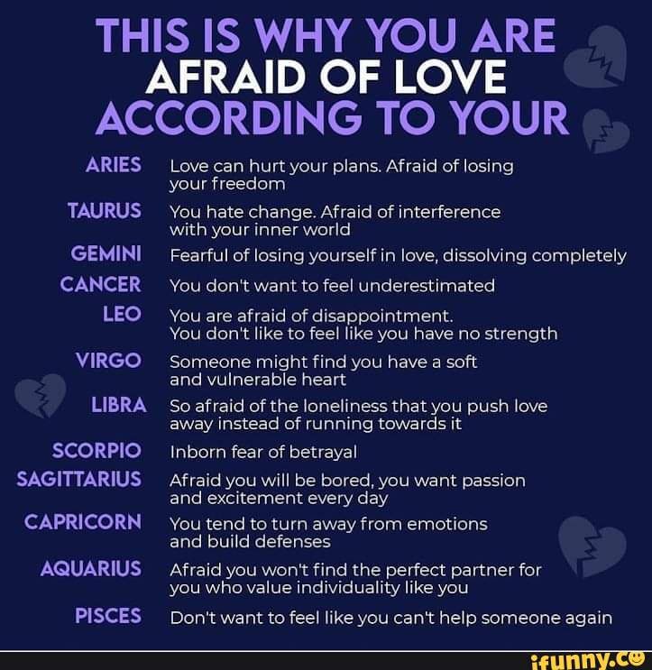 THIS IS WHY YOU ARE AFRAID OF LOVE ACCORDING TO YOUR ARIES Love can ...