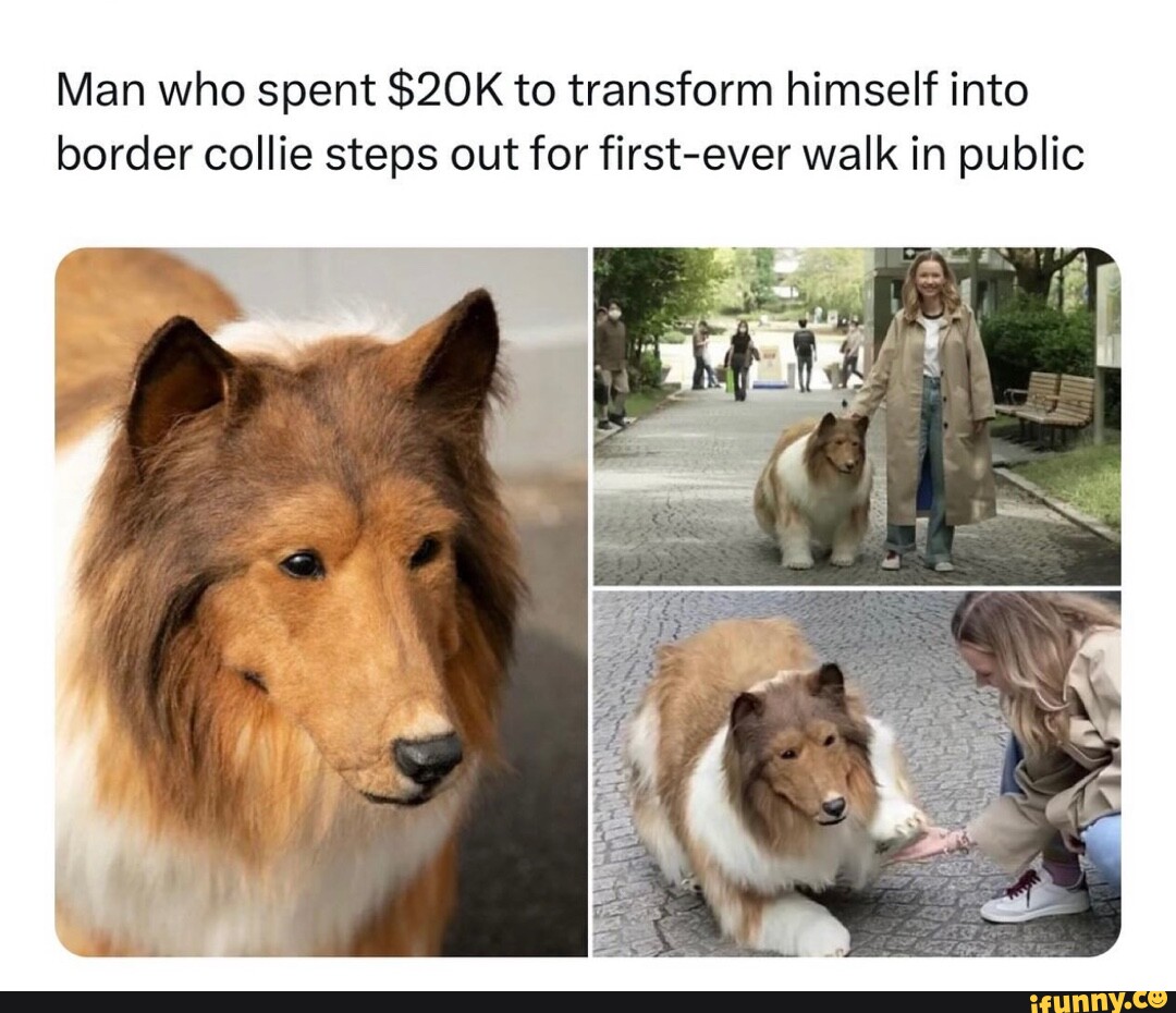 man-who-spent-to-transform-himself-into-border-collie-steps-out-for