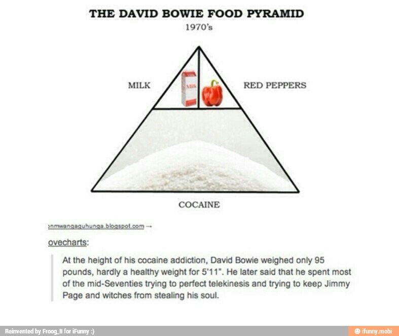 The David Bowie Food Pyramid 1970 S Ovecharts At The Height