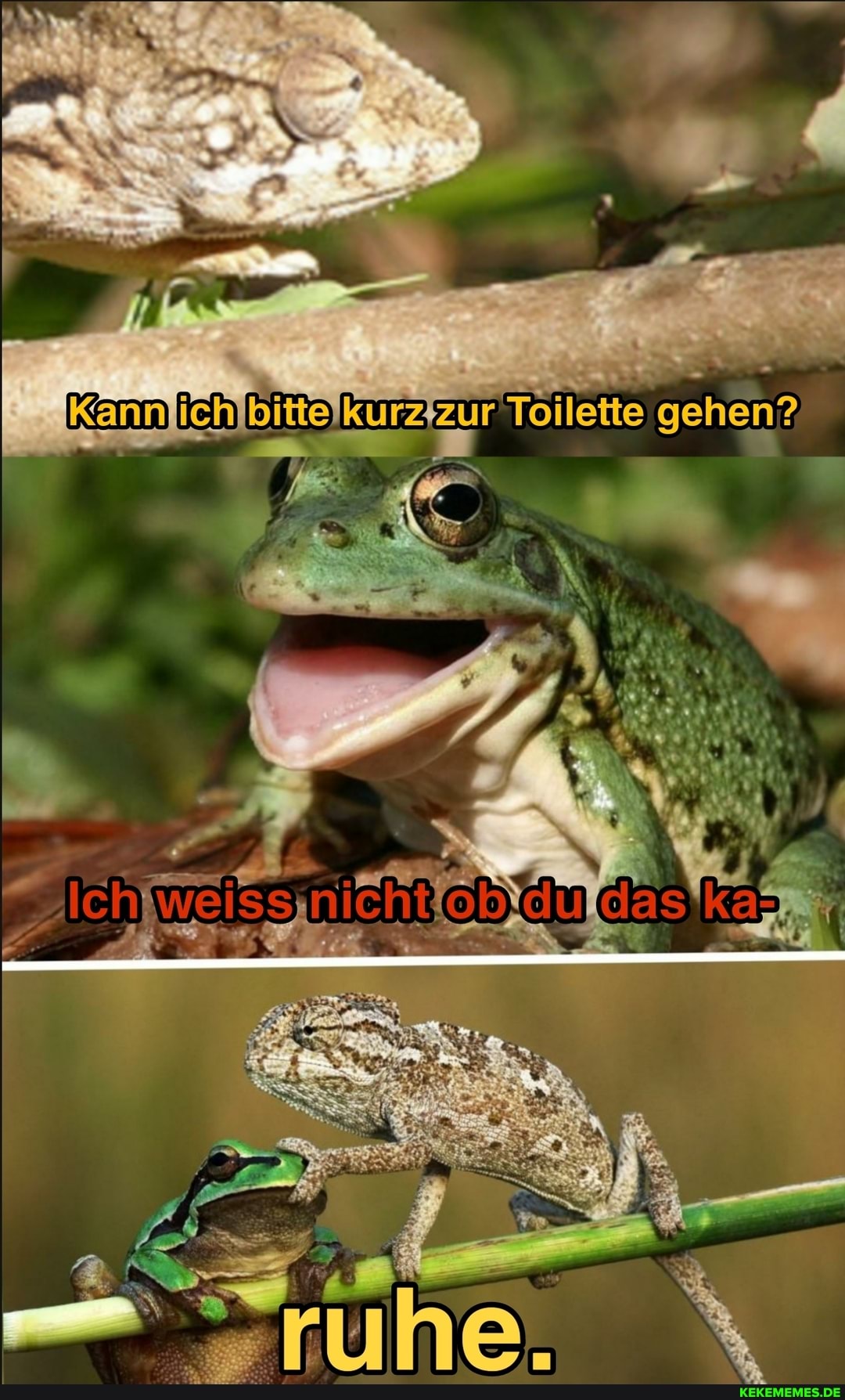 gehen?
Ichweissinicht das .