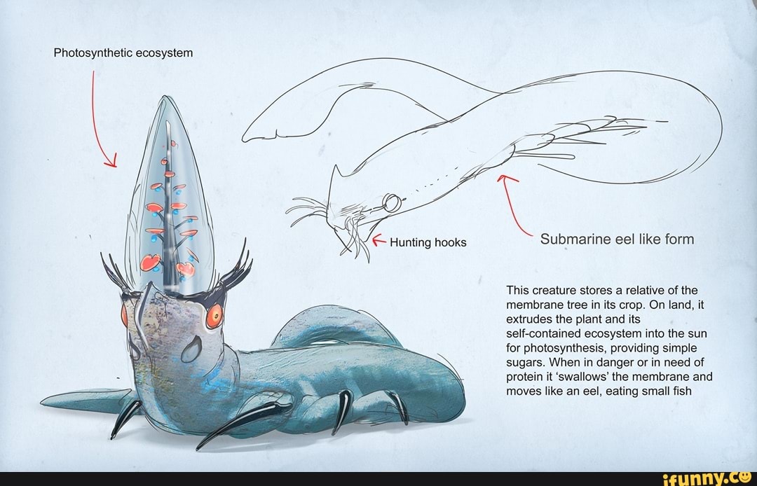 Photosynthetic ecosystem Submarine eel like form This creature stores a ...