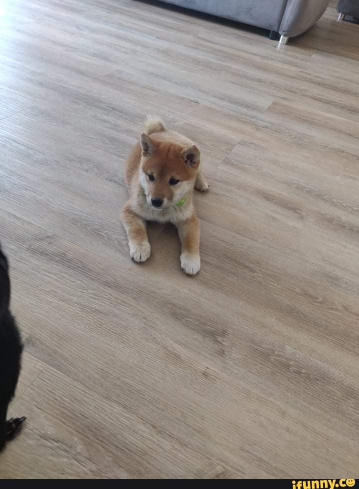 new, family