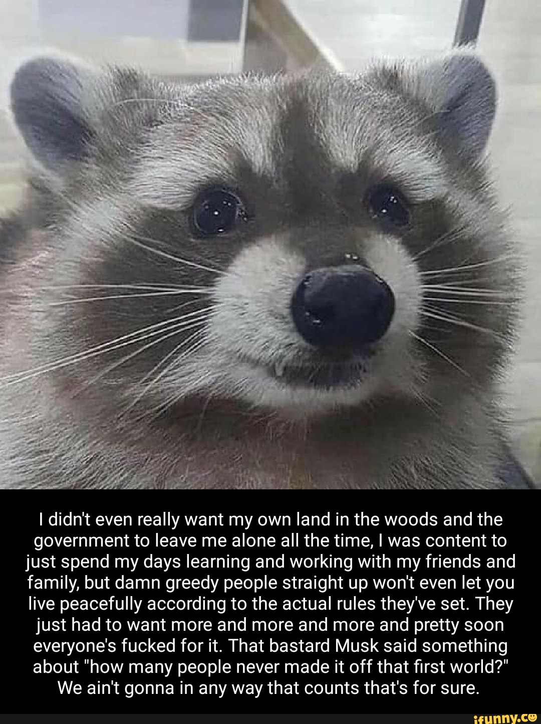 re
I didn't even really want my own land in the woods and the government to leave me alone all the time, I was content to just spend my days learning and working with my friends and family, but damn greedy people straight up won't even let you live peacefully according to the actual rules they've set. They just had to want more and more and more and pretty soon everyone's fucked for it. That bastard Musk said something about "how many people never made it off that first world?"
We ain't gonna in any way that counts that's for sure.