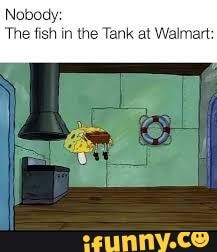Nobody:
The fish in the Tank at Walmart: