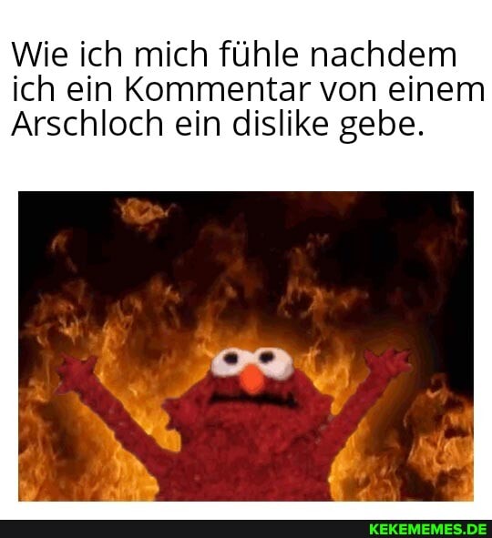 Wie ich mich fühle nachdem ich ein Kommentar von einem
Arschloch ein dislike gebe.