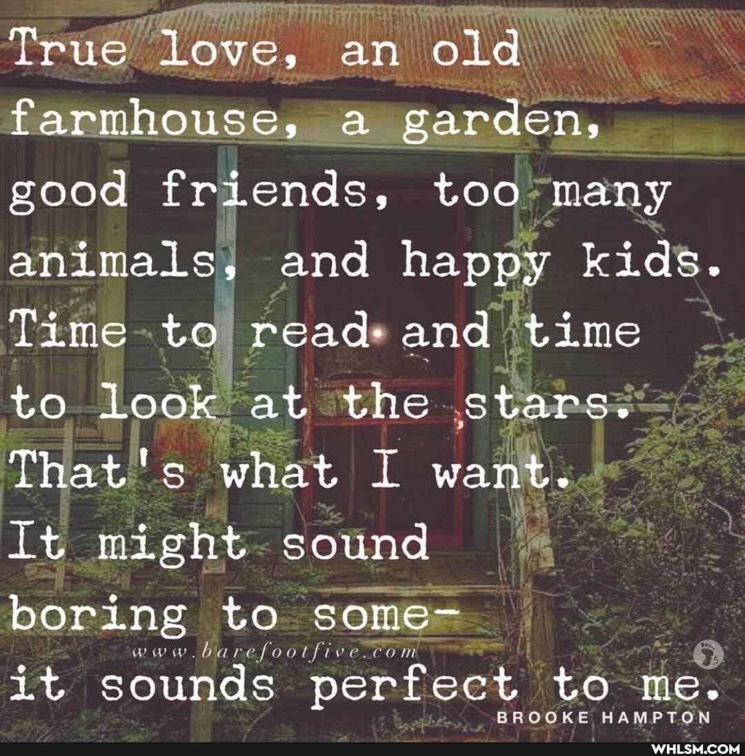 True Love, an old farmhouse, a garden, good friends, too many animals, and happy kids.
Time to read- and time to look at the stars.
That's what I want.
it might sound
boring to some-
www.barefootfive-com
it sounds perfect to me.
BROOKE HAMPTON