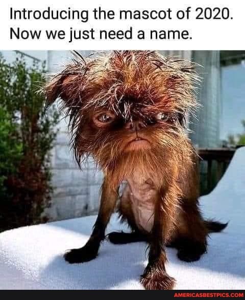 Introducing the mascot of 2020.
Now we just need a name.