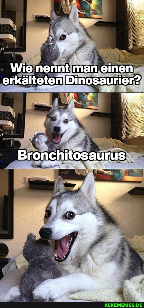 Wie nennt man einen erkälteten Dinosaurier? Bronchitosaurus