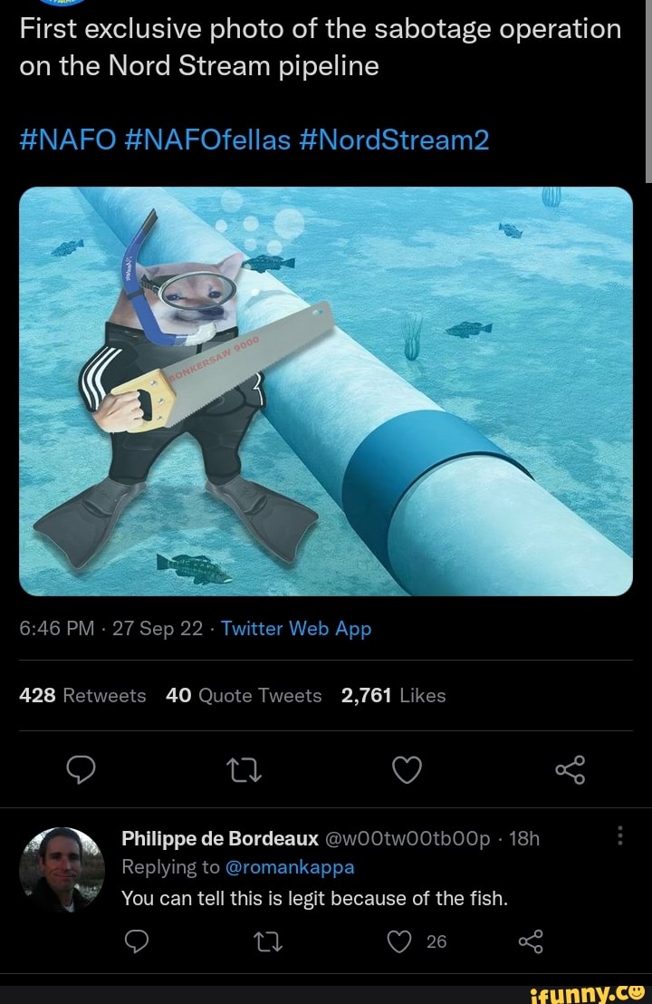 Securonix Threat Labs Security Advisory: Latest Update: Ongoing MEME#4CHAN  Attack/Phishing Campaign uses Meme-Filled Code to Drop XWorm Payloads -  Securonix, image size:720x1108