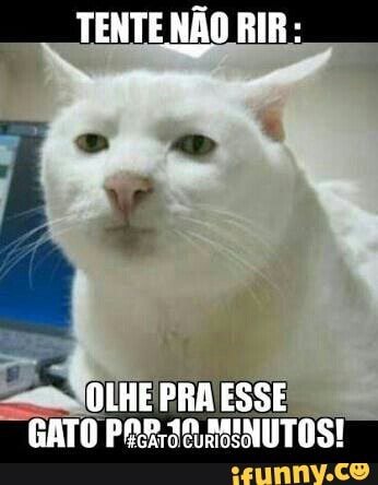 TENTENÃO RIR:
LHE PRA VESSE
GATO PARA MINUTOS!