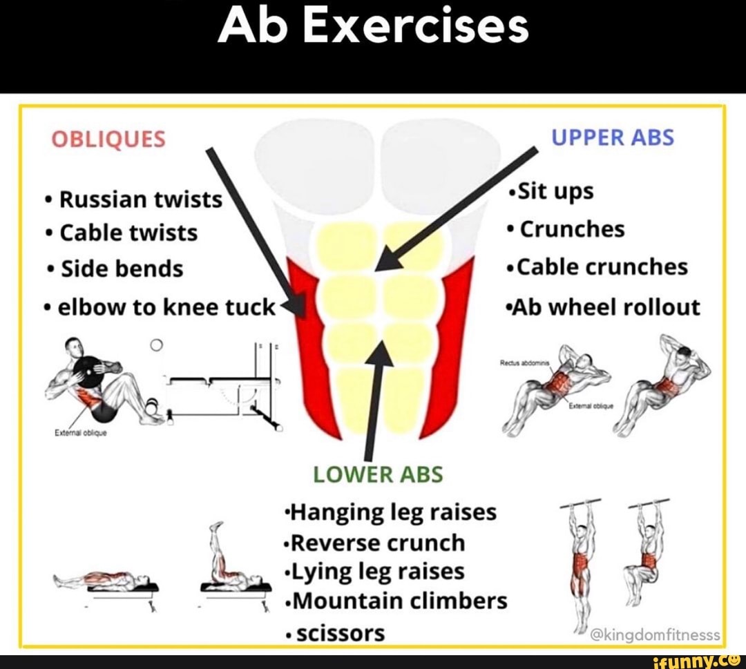 Ab Exercises OBLIQUES Russian twists * Cable twists Side bends elbow to