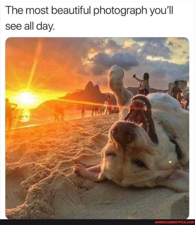The most beautiful photograph you'll see all day.