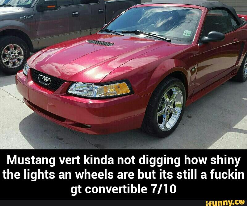 Mustang
vért kinda ho; digging how shiny
the lights an wheels are but its still a fuckin
gt convertible 7/10 - Mustang vert kinda not digging how shiny the lights an wheels are but its still a fuckin gt convertible 7/10