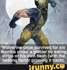 Wolverine once survivet for six months under a glacier by eating strips of his own flesh (with the healing facter growing it back)