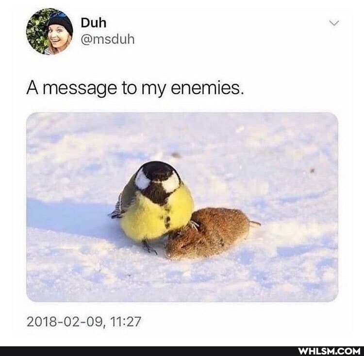 A message to my enemies.
of
2018-02-09,
