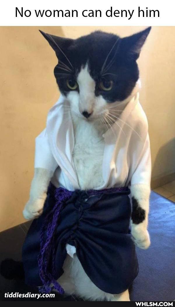 No woman can deny him