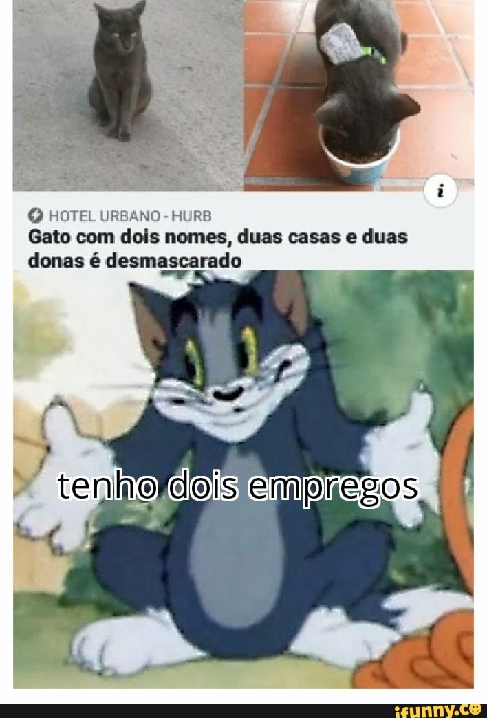 HOTEL URBANO
Gato com dois nomes, duas casas e duas
donas é desmascarado
d