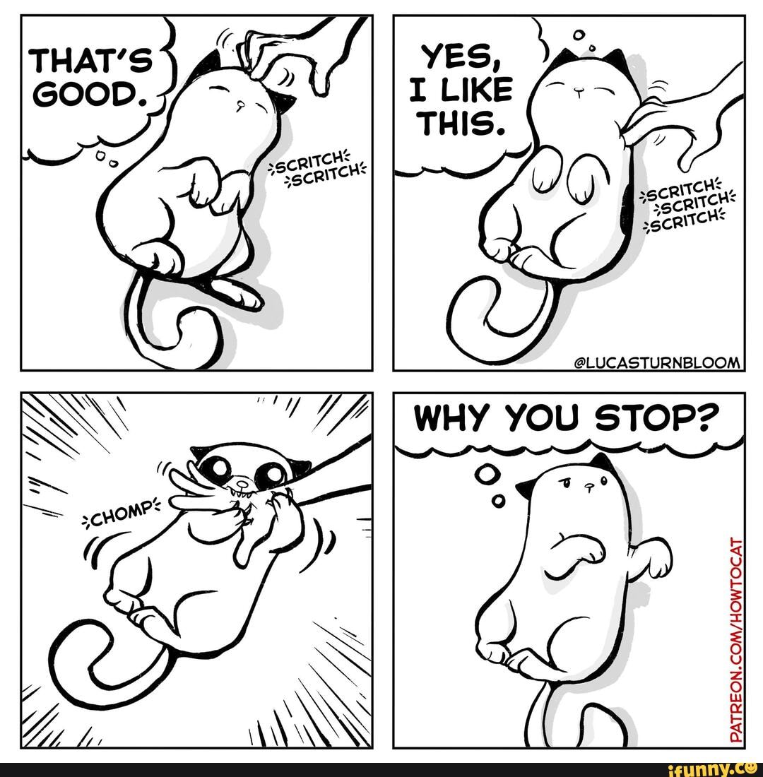 a-few-comic-strips-that-good-ifunny