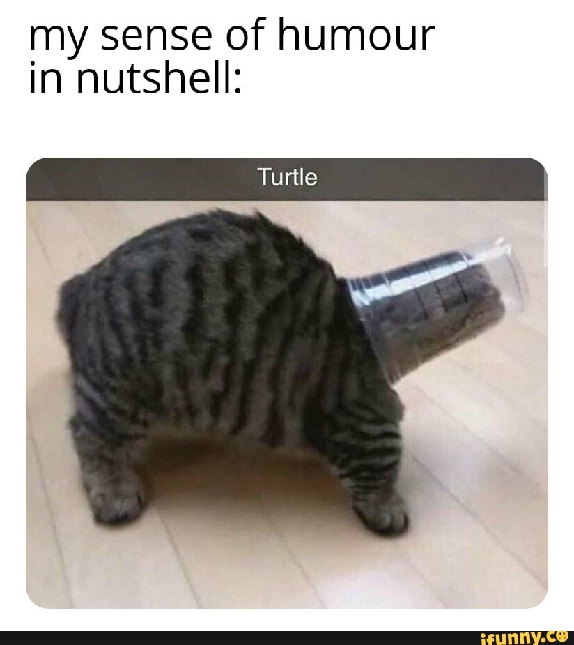my sense of humour in nutshell:
Turtle