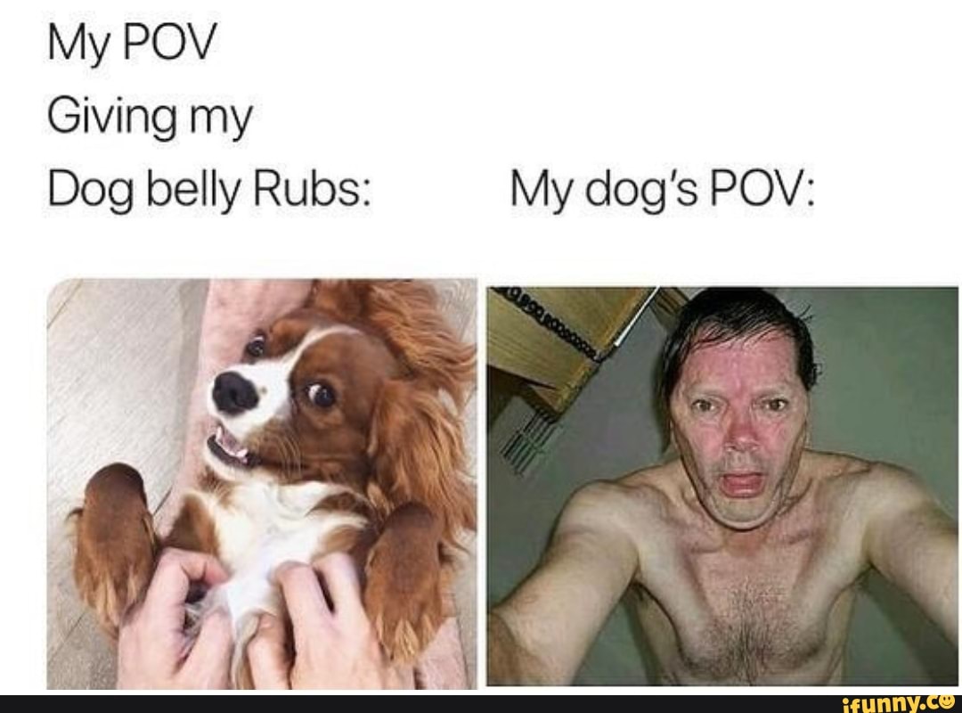 My POV Giving My Dog Belly Rubs My Dogs POV