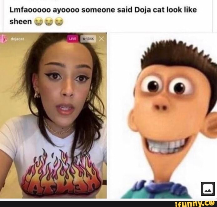 Lmfaooooo ayoooo someone said Doja cat look like sheen Y Y Y - )