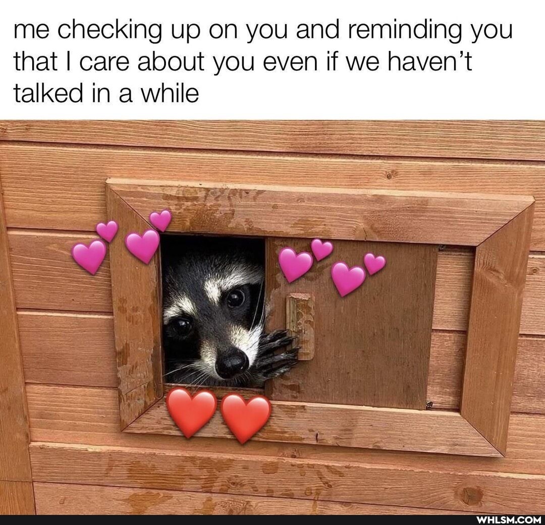 me checking up on you and reminding you that I care about you even if we haven't talked in a while