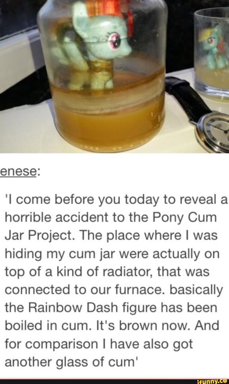 Enese: We come before you today to reveal a horrible accident to the Pony  Cum Jar