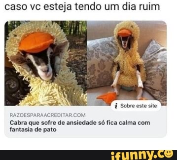 caso vc esteja tendo um dia ruim
Sobre este site
RAZOESPARAACREDITAR COM.
Cabra que sofre de ansiedade só fica calma com fantasia de pato