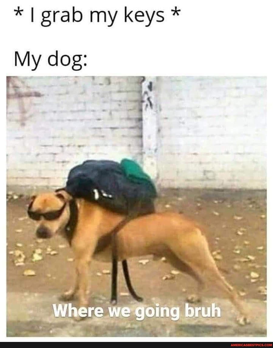 * I grab my keys *
My
Where we going bruh