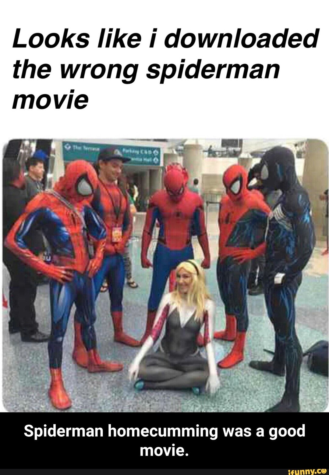 spiderman movie meme