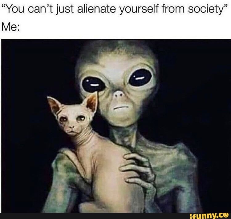 "You can't just alienate yourself from society"
Me: