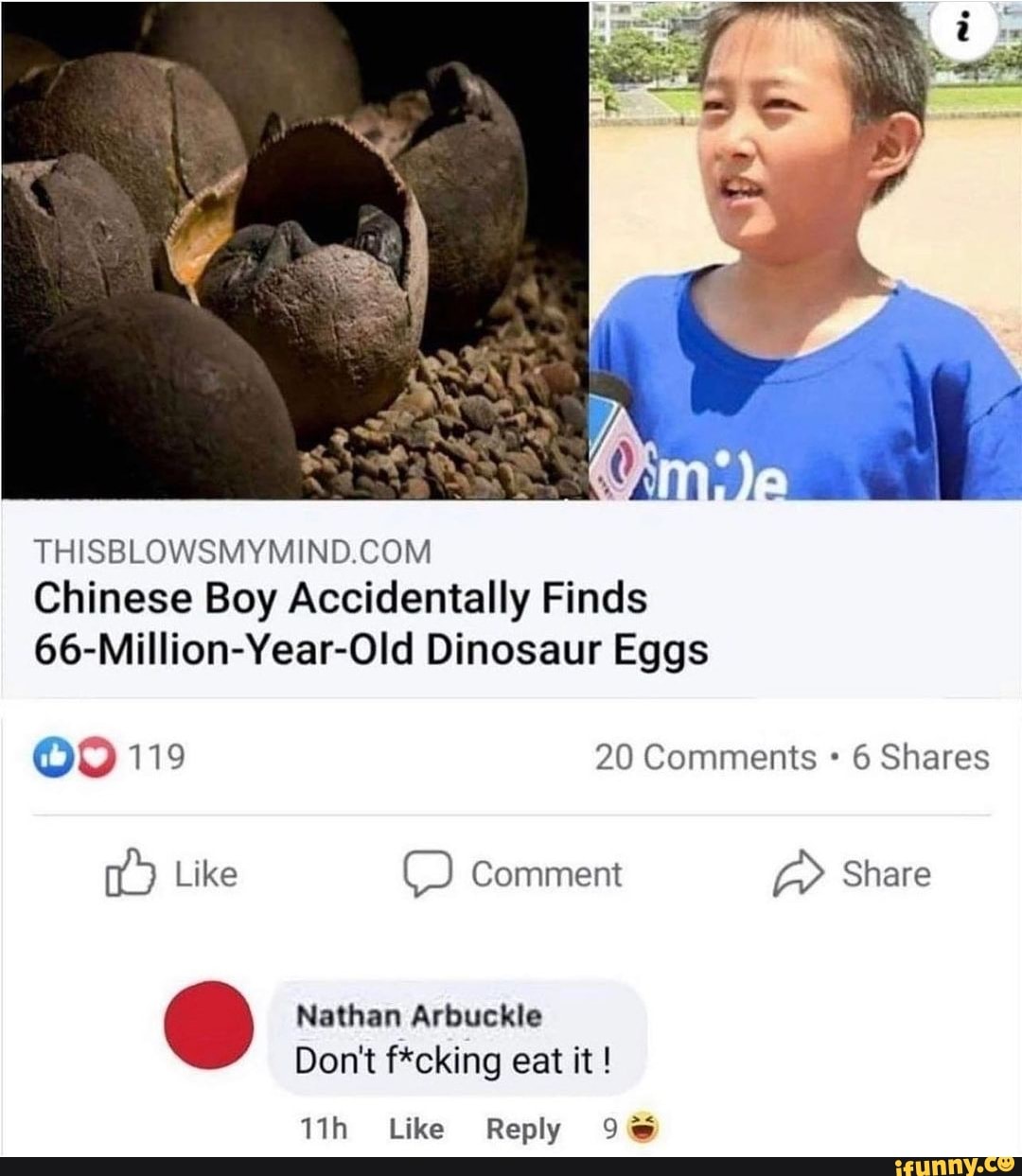 Chinese Boy Accidentally Found 66-million-year-old