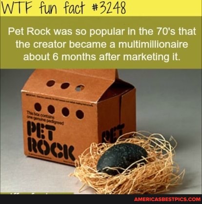 WTF fun tact #3248
Pet Rock was so popular in the 70's that the creator became a multimillionaire about 6 months after marketing it.