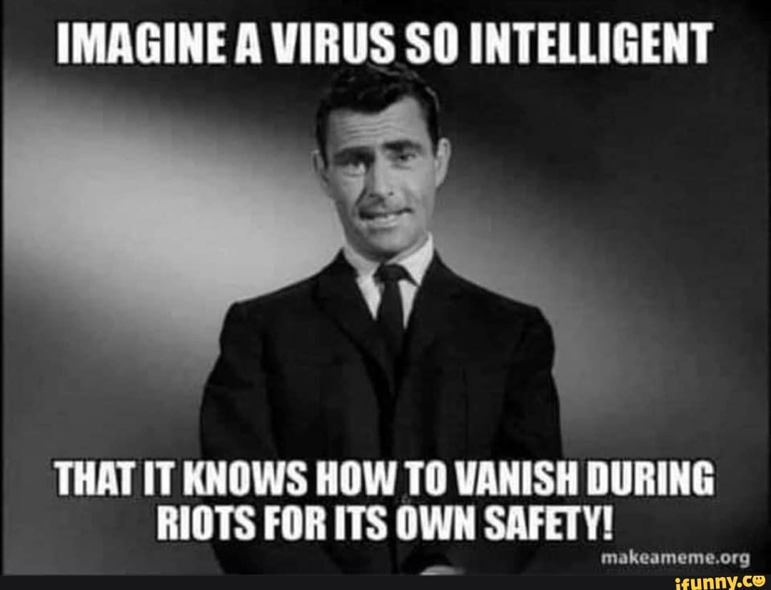 IMAGINE A VIRUS SO INTELLIGENT
THAT IT KNOWS HOW TO VANISH DURING
RIOTS FOR ITS OWN SAFETY!
makeameme. .org