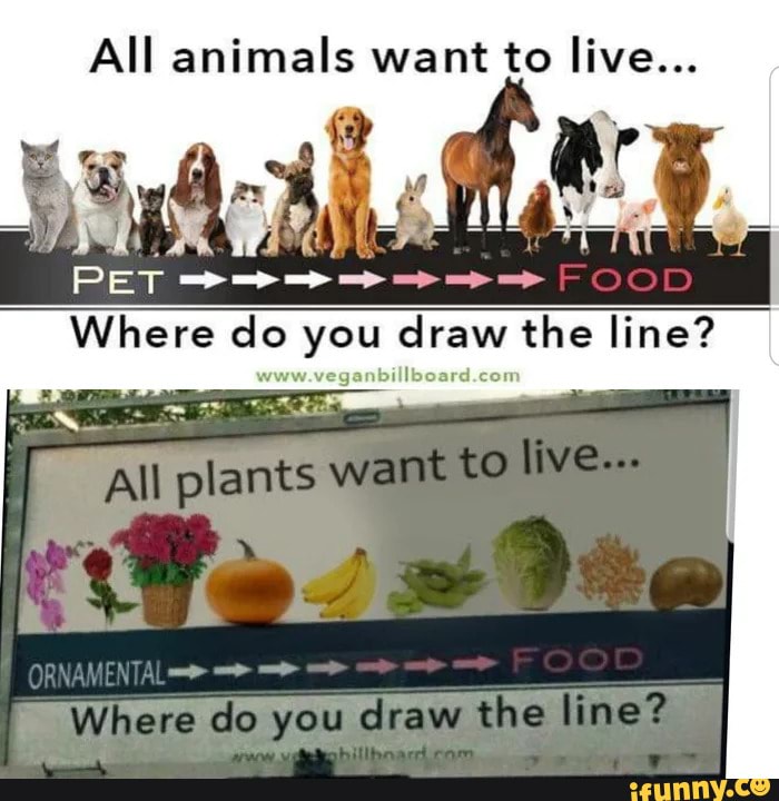 Where do you live на русском. All animals want to Live where do you draw the line. All animals want to Live. Wanted animals. Where do you Live ответ.