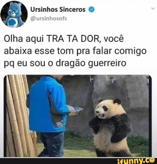 Ursinhos Sinceros
Olha aqui TRA TA DOR, você abaixa esse tom pra falar comigo pq eu sou o dragão guerreiro