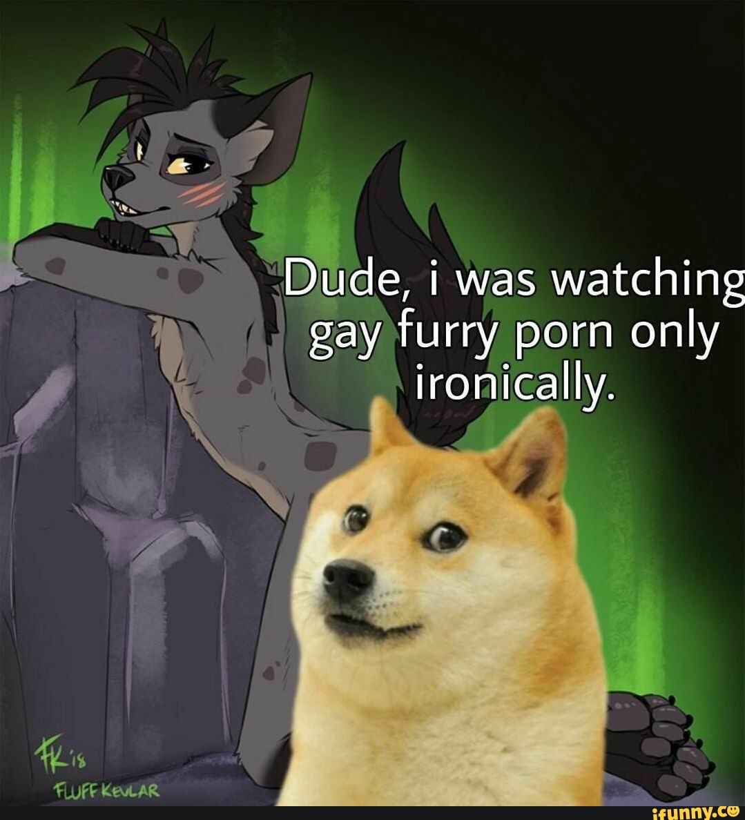 Dude, i was watching gay furry porn only ironically. 